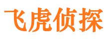 秦安市调查公司